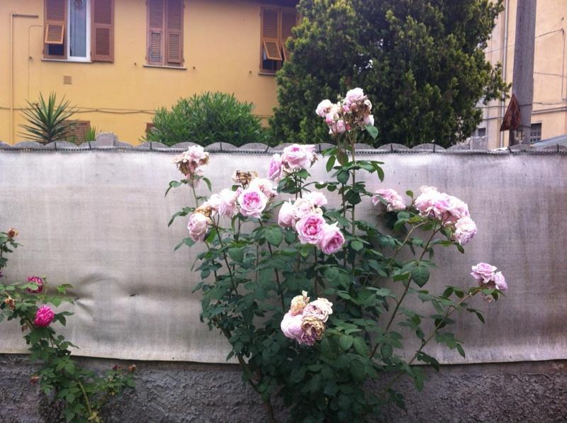 Willa Solemare House Nearby Cinqueterre La Spezia Pokój zdjęcie